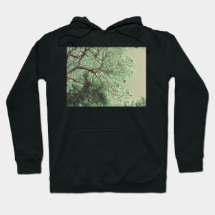 Money Doesn't Grow on Trees Hoodie